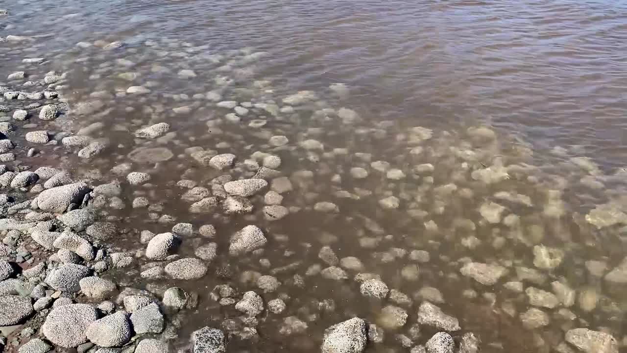 해안선 바위에서 뉴브런즈윅의 펀디 코스트 만까지 기울어져 있습니다.