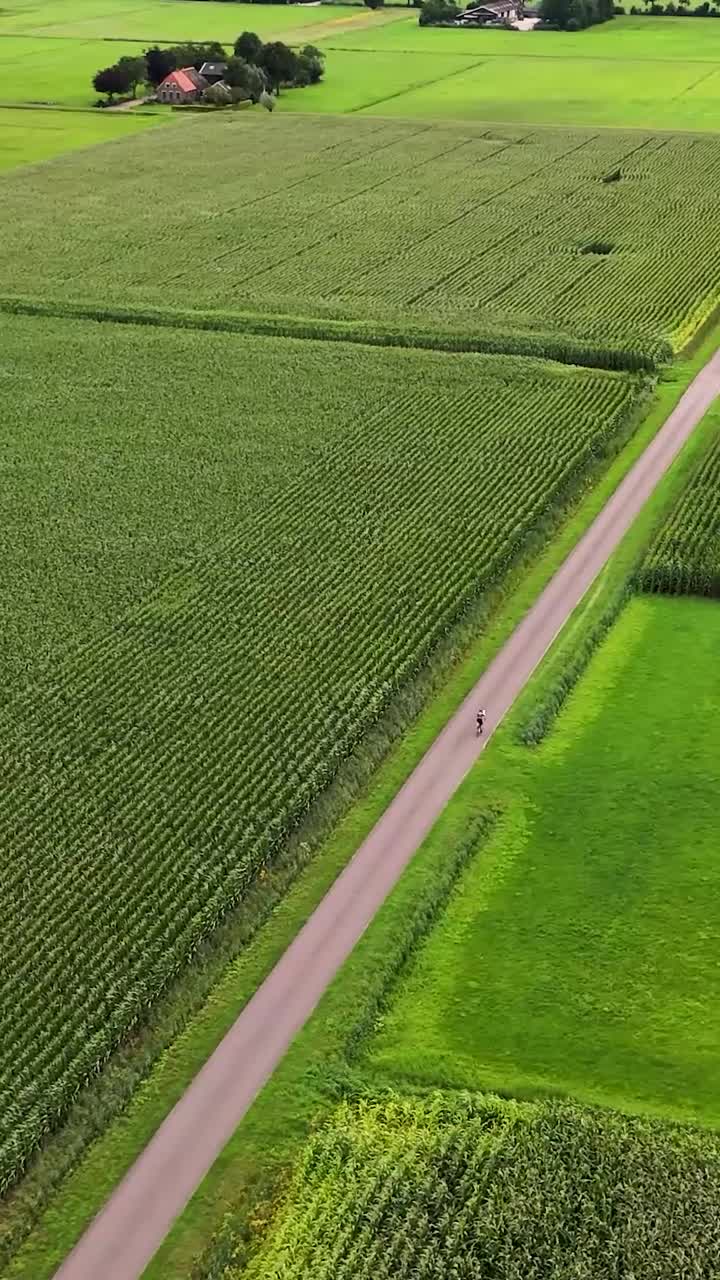 Aerial View of Cyclist Riding Through Green Fields