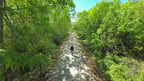 woman with backpack hiking on glenorchy walkway on summer day in nz