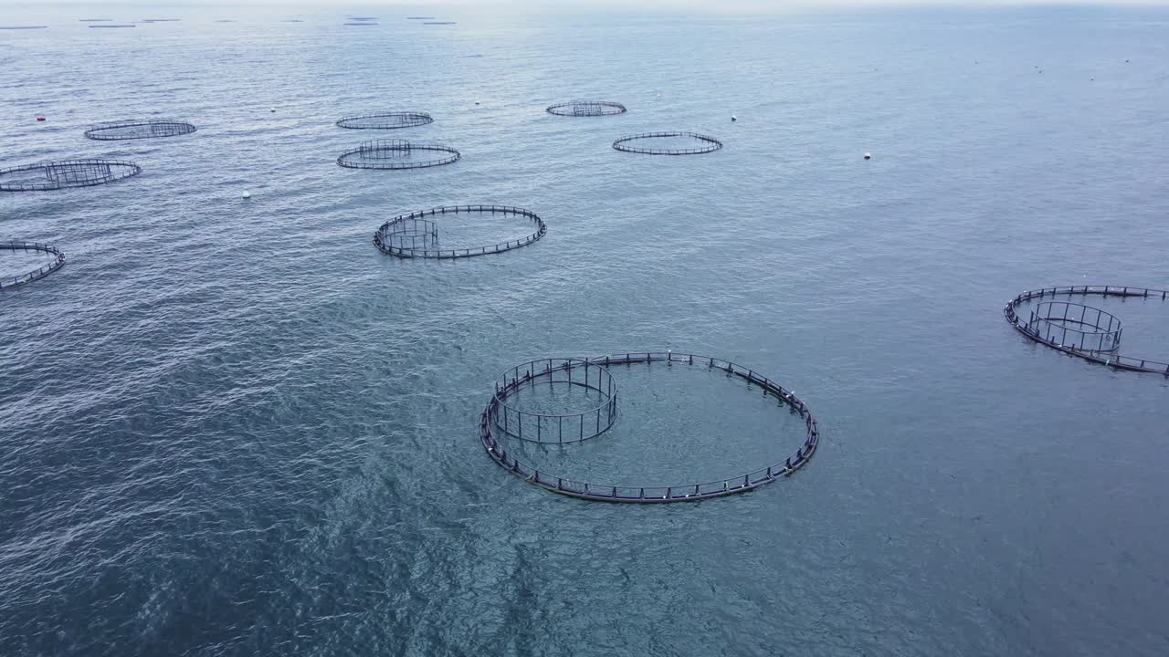 시장에 양식된 생선 제품을 공급하기 위한 바다의 수산물 양식 농장