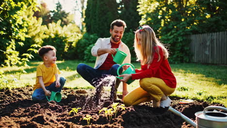 family gardening in the backyard