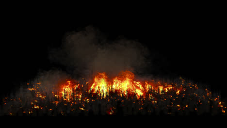 forest fire at night