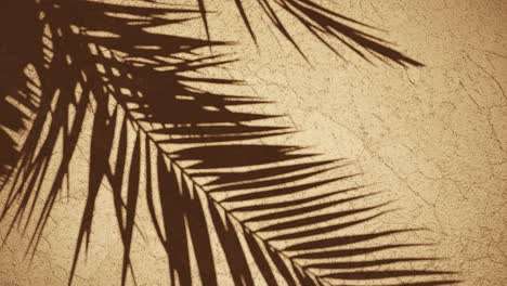 Rough-light-brown-background-with-palm-tree-frond-shadow-moving-in-wind