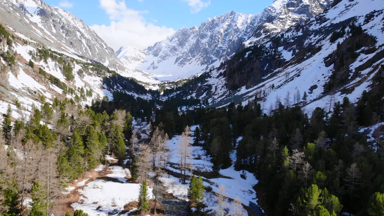 Scenic Mountain Valley with Snow-Capped Peaks and Forest