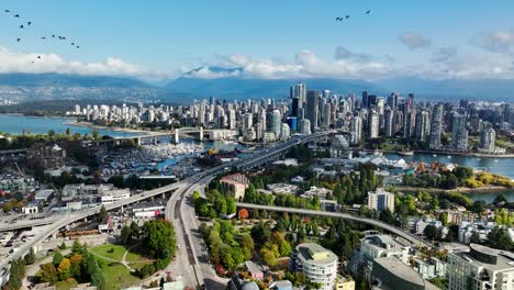 flock of birds flying over south granville with a view of downtown vancouver and false creek in canada