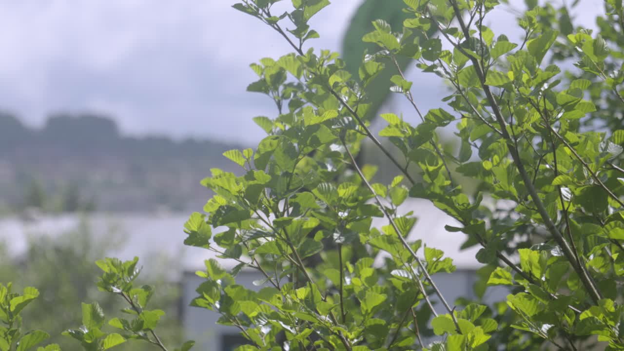 Industrial Excavator Grab Machine Picking Up Waste Junk Materials with Green Tree in Foreground. Sorting Rubbish to Dispose and Recycle. Moving Scrap Metal at the Dump.