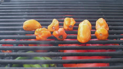 Close-up-Pan-with-Shallow-Depth-of-Field-of-Hot-Spicy-Serrano-Chilli-and-Habanero-Chilli-on-Grill-at-a-Meixcan-BBQ