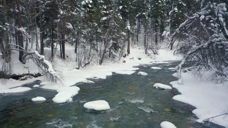 aerial view of a river in a snowy forest