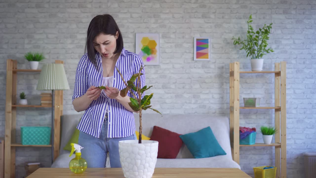 젊은 여성이 식물에 관심을 기울이면 잎이 떨어집니다.