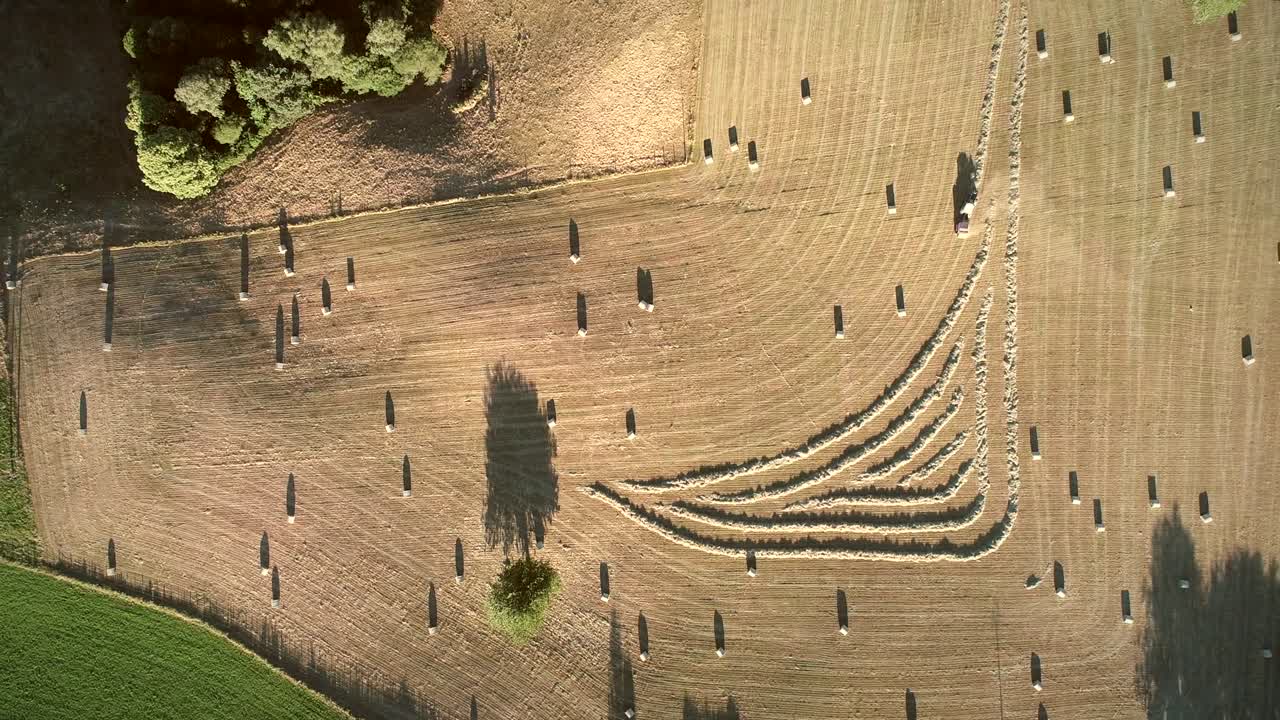 어리 를 수확 하는 트랙터 의 공중 사진.