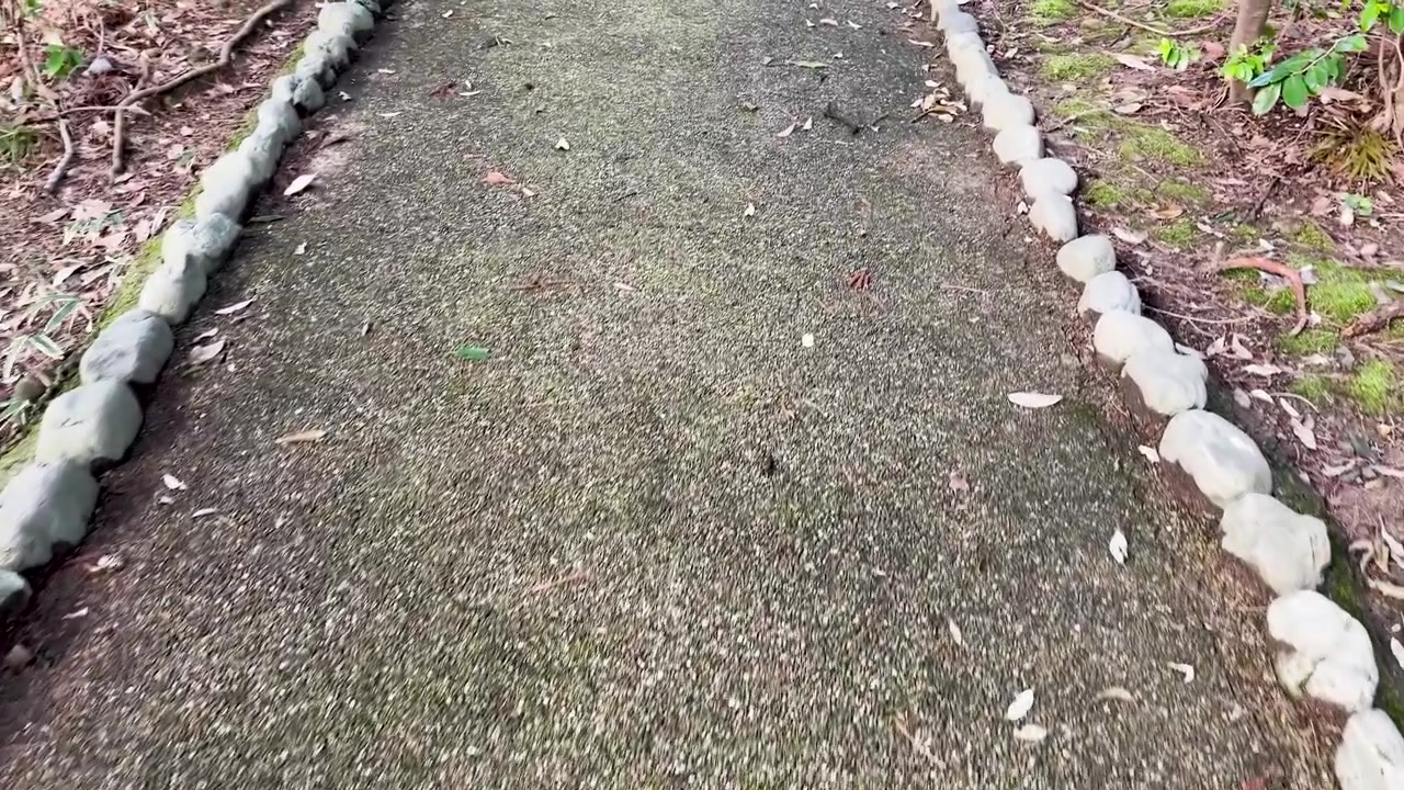A low angle camera moves forward along a mossy stone path in a Japanese garden