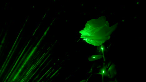 enchanted rose in dark and magical forest with green light and sparks