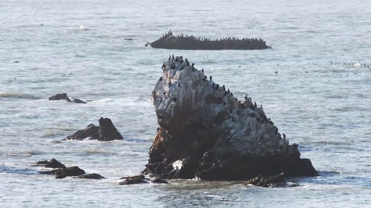 un par de rocas en las aguas del pacífico pobladas de cormoranes en la costa de california, ee.uu.