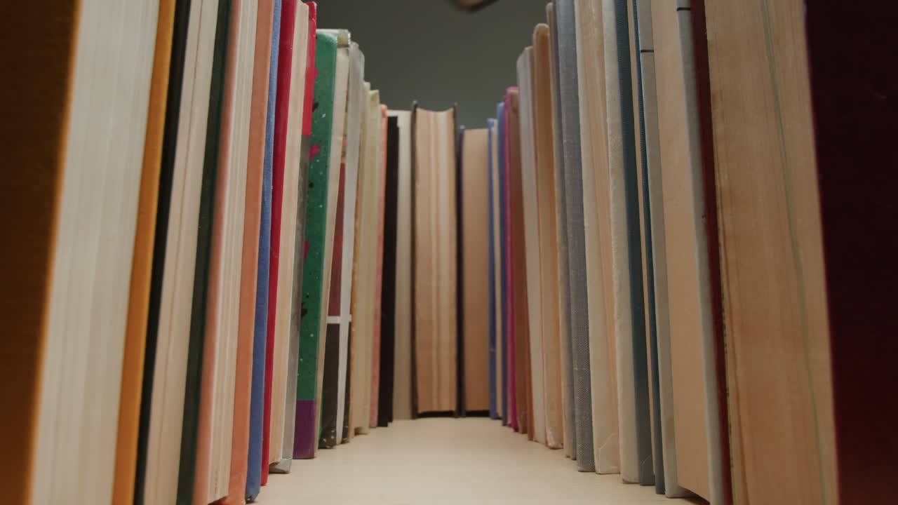 Bookshelf with Many Books