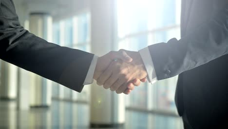 the two businessmen handshake on the sunny background. slow motion