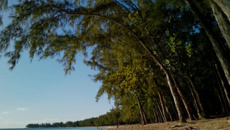 Un-Lapso-De-Tiempo-De-Una-Playa-Tropical-Llena-De-árboles