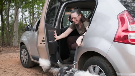 cheerful australian shepherd and his owner, a young woman, get out of a parked gray car, ready for a walk in the woods