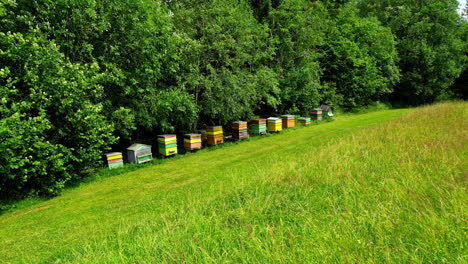 Bienenzucht-Bienenstöcke-Honigbienen-Der-Gattung-Apis-Im-Sommer