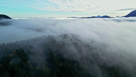Vista-Aérea-Por-Drone-De-Bosque-Cubierto-De-Nubes-De-Bajo-Nivel-En-Los-Alpes