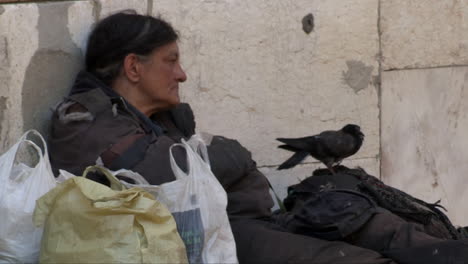 a homeless person sitting against a wall with a pigeon nearby