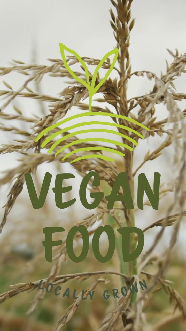 Vegan food text animation over close-up of wheat field
