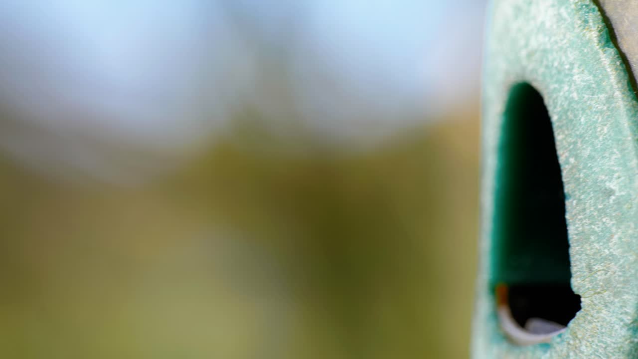 새 모이통으로 날아가 씨앗을 먹는 새의 4k 시네마틱 슬로우 모션 매크로 샷