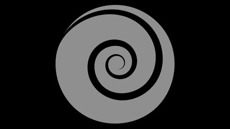 graphic object in black and white with stroboscopic and hypnotic effect, which rotates clockwise decreasing the size from full screen to disappearing in the center, in 16: 9 video format