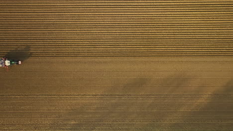 high angle brid eye drone view of a tractor driving over a potato farming field