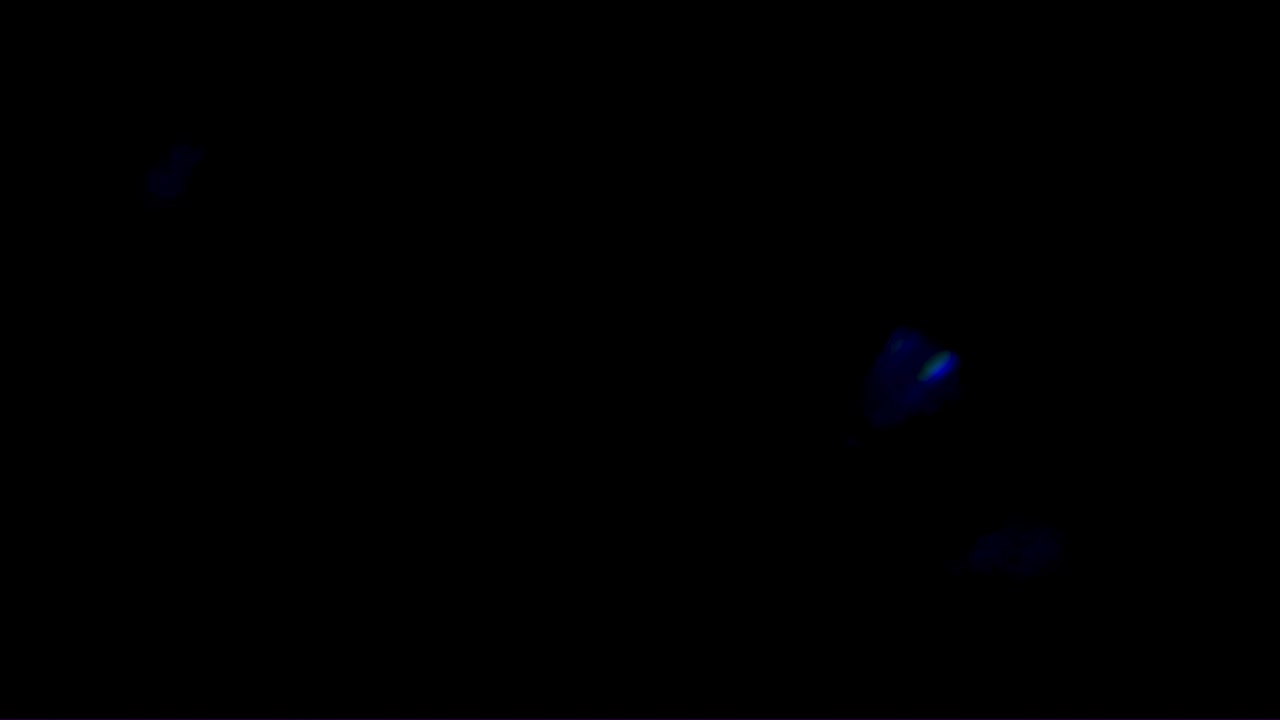 광학 렌즈 플레어 효과