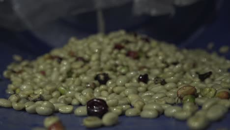 coffee beans falling out of the rasping machine