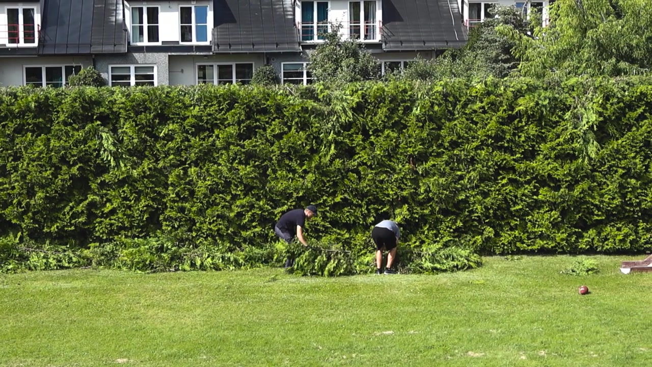 Two male gardeners working together to clean up a large yard