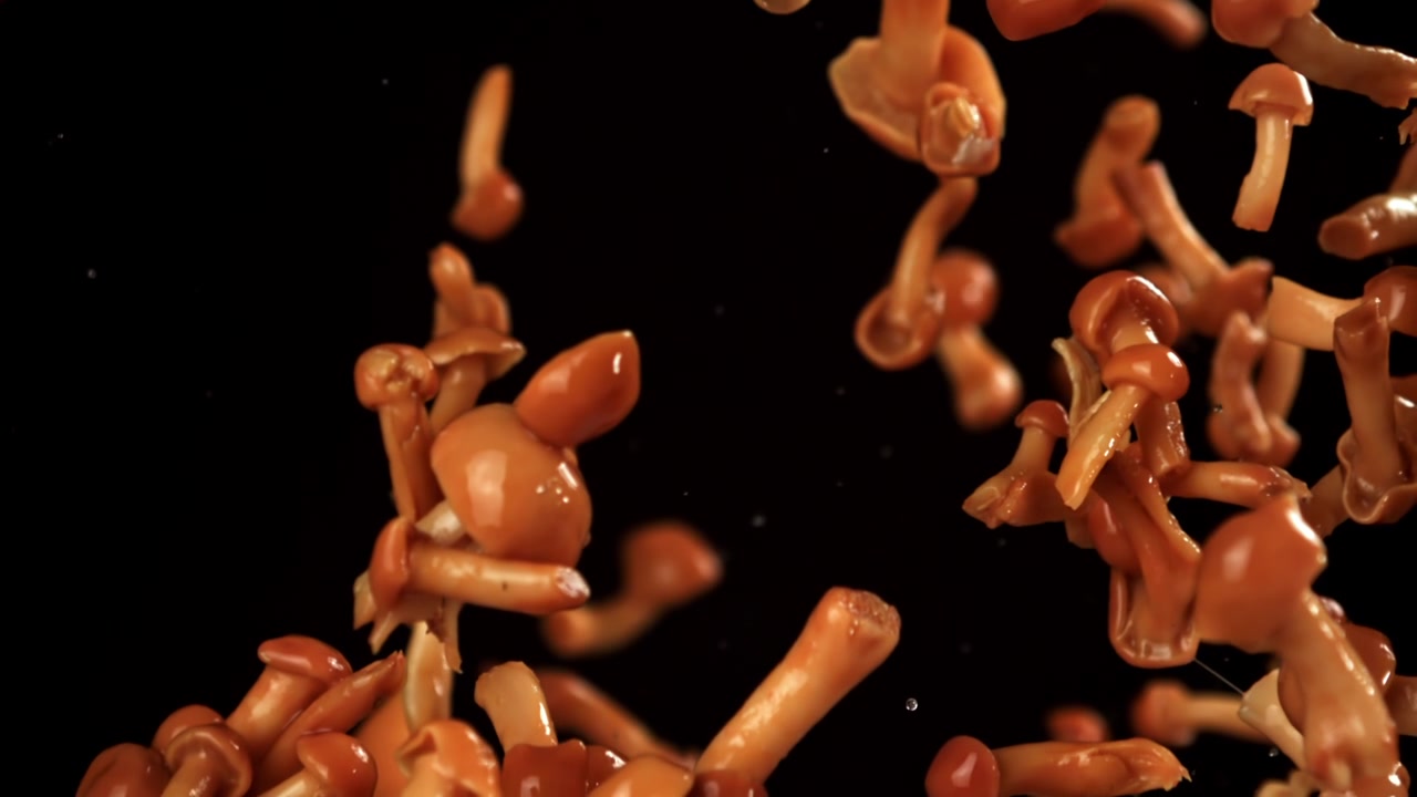 Funghi freschi che cadono in super rallentatore su sfondo nero