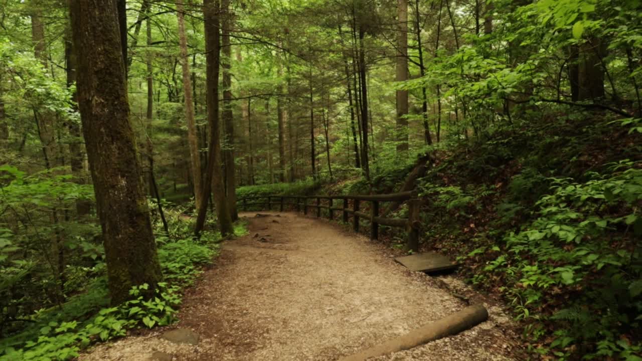 Nature Hike at Natural Bridge State Park, Kentucky