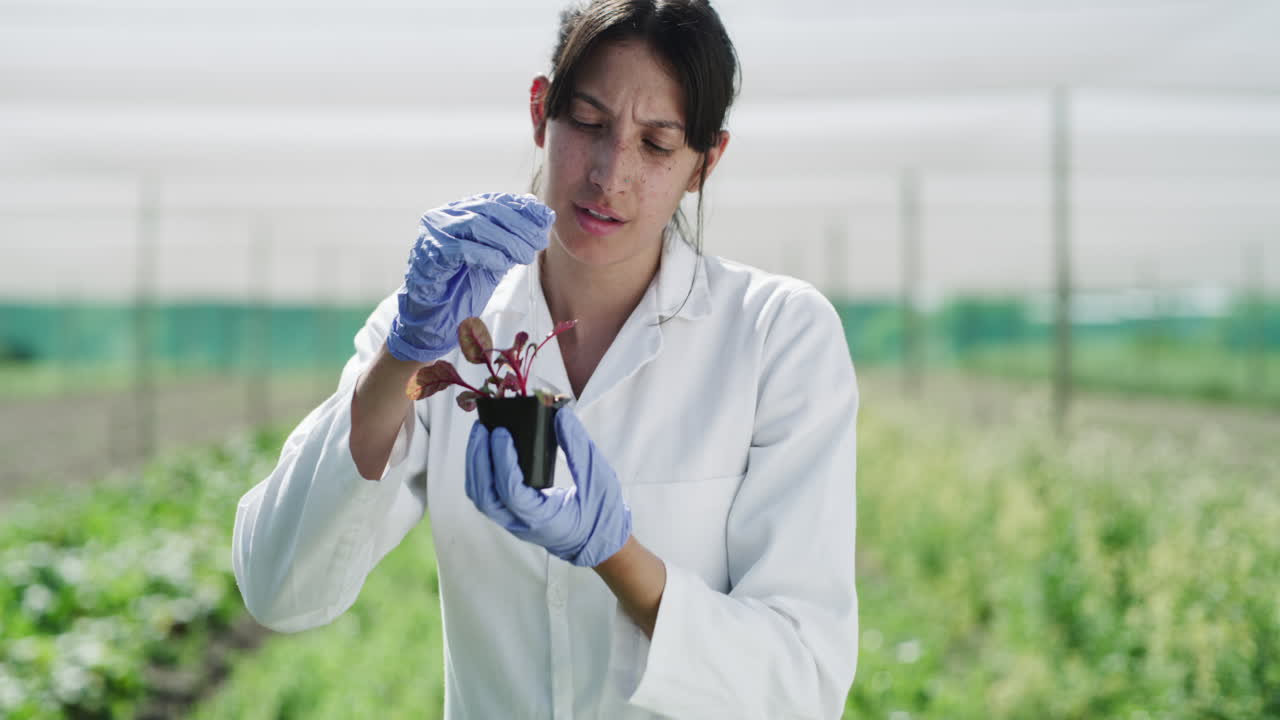algunas flores necesitan un poco más de cuidado.