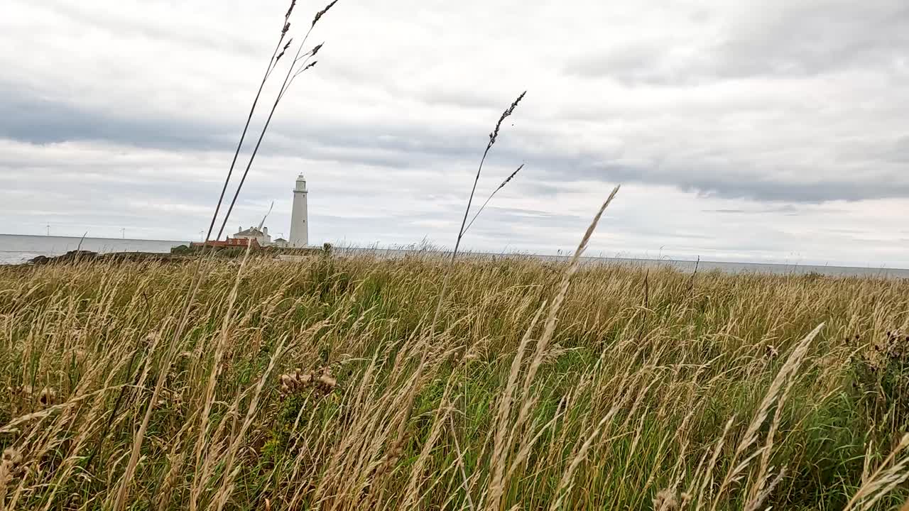 Wind moves tall grass in the foreground as a white lighthouse stands on a rocky shoreline under overcast skies, captured with a steady wide shot