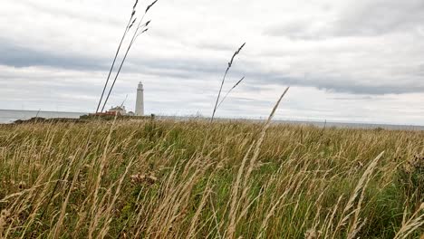 wind moves tall grass in the foreground as a white lighthouse stands on a rocky shoreline under overcast skies, captured with a steady wide shot