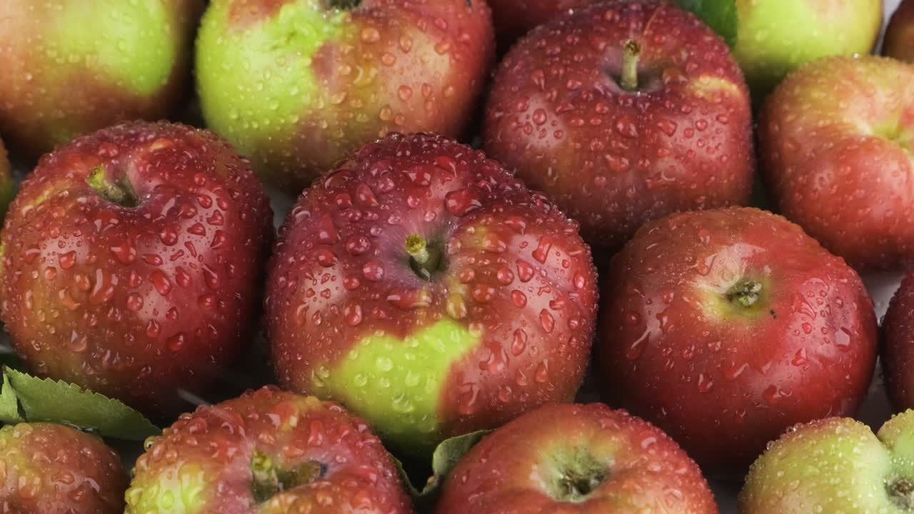 수평 파노라마: 은 사과 위에 비방울이 떨어집니다. 과일 배경.