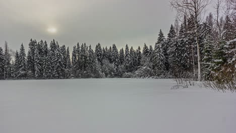 Zeitraffer-Der-Verschneiten-Waldlandschaft,-Sonne-Bewegt-Sich-Hinter-Wolken,-Winterwald