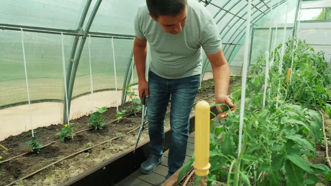 녹색 환경에서 일하는 사람. 온실에서 는 동안 식물을 돌보는 사람