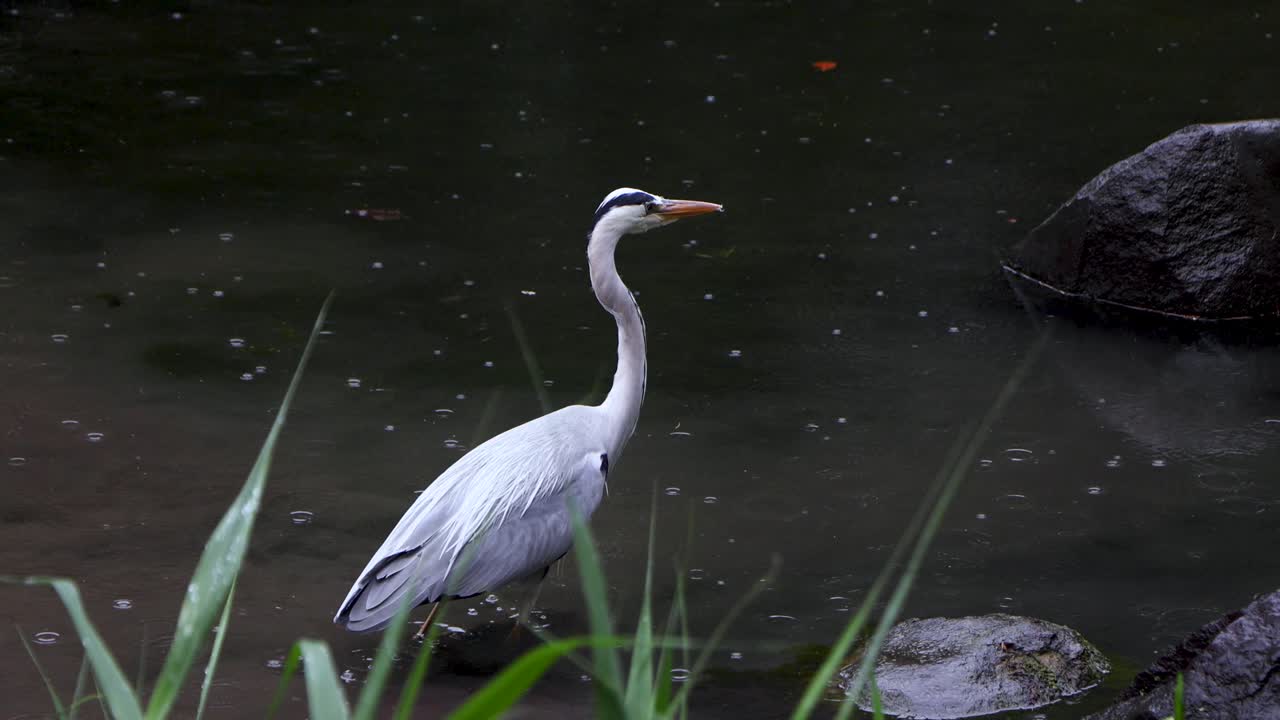 도쿄 최고의 전망