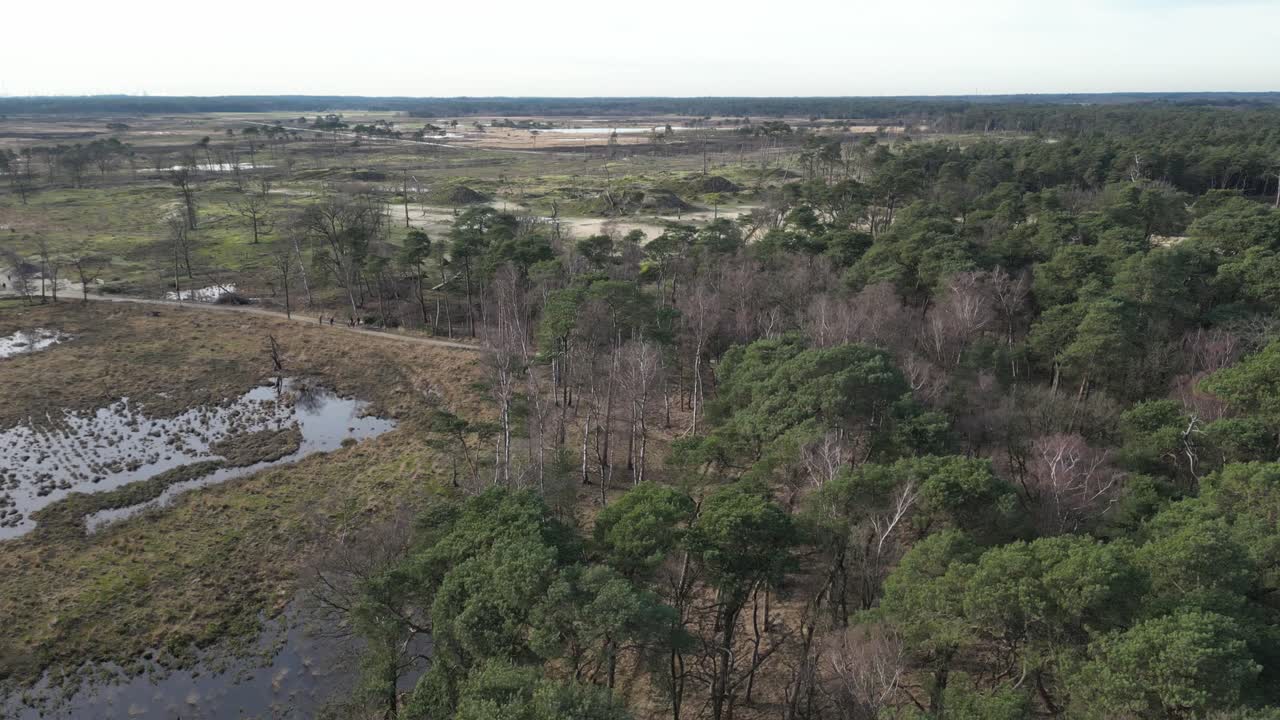 Kalmthoutse hede med panorering över skog som avslöjar våtmarker och en grupp människor som går nedanför
