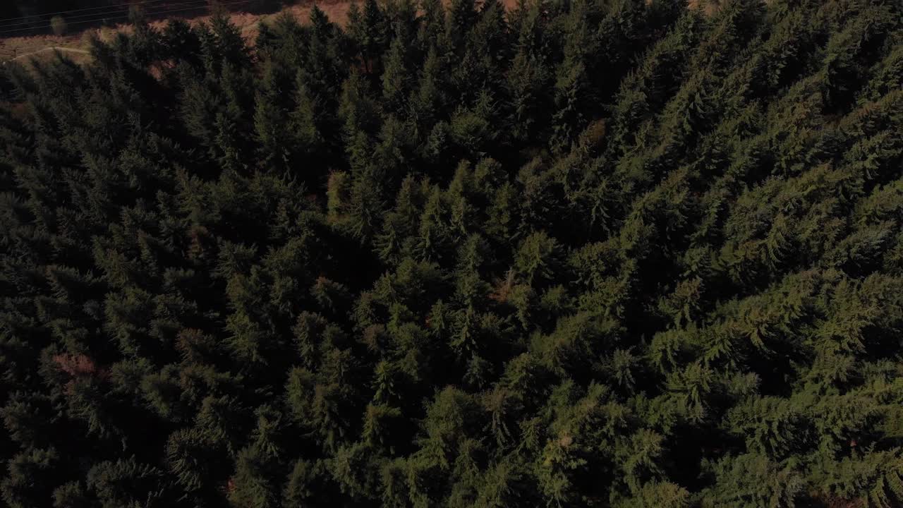 먼 거리에 있는 lady bower 저수지를 드러내는 숲에서 뒤로 이동하는 드론 샷 mavic air에서 4k로 장거리 촬영