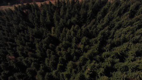 disparo de un dron que viaja hacia atrás desde un bosque y revela el embalse lady bower a lo lejos, una toma larga en 4k en el aire mavic.