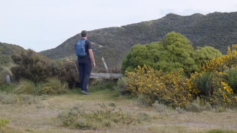 A-day-hiker-approaching-a-lookout-and-looking-at-the-view-before-walking-away