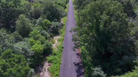 An-aerial-view-of-a-narrow,-paved-road-with-green-trees-and-bushes-on-either-side