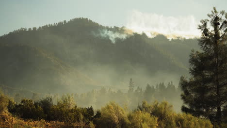 Bush-fire-forest-smoke,-with-firefighting-airplane-dropping-red-fire-retardant