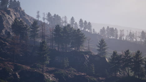 Tatras-Mountains-covered-by-green-pine-forests