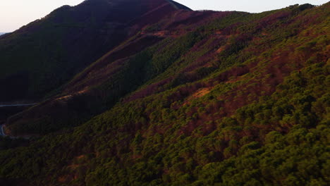 A-drone-pans-over-a-mountain-forest-near-Estepona,-Spain