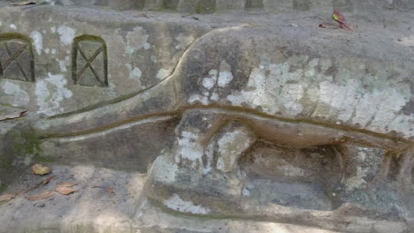 tortoise, stag, niches carved into rock by hermit alberto gutierrez