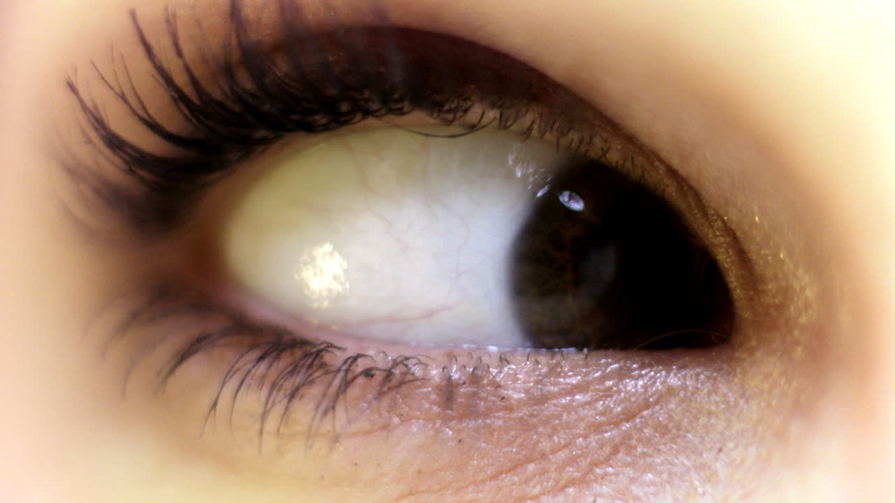 여성 멀티아이 00